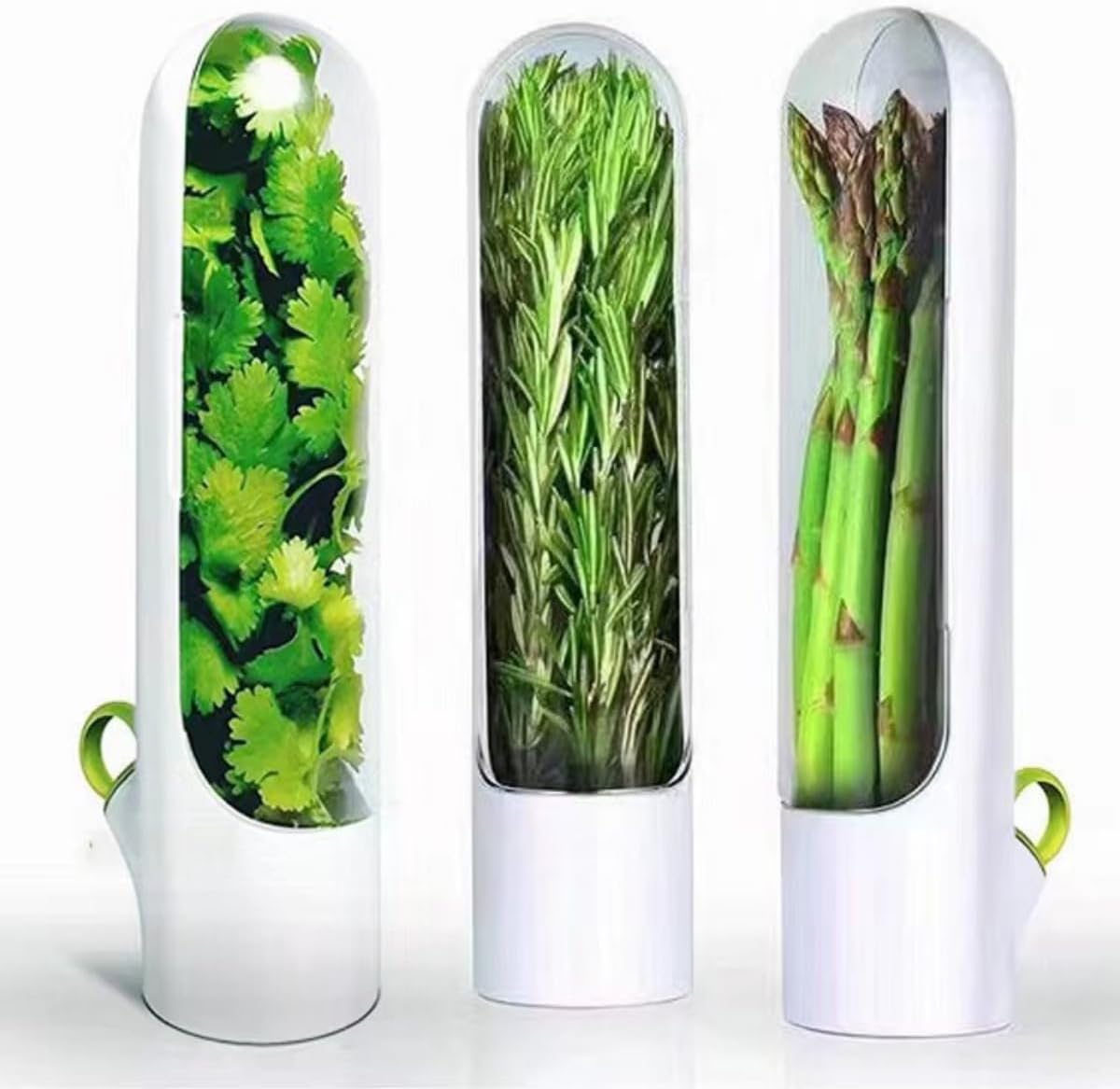 HERB SAVER-6.5X6.5X24.5